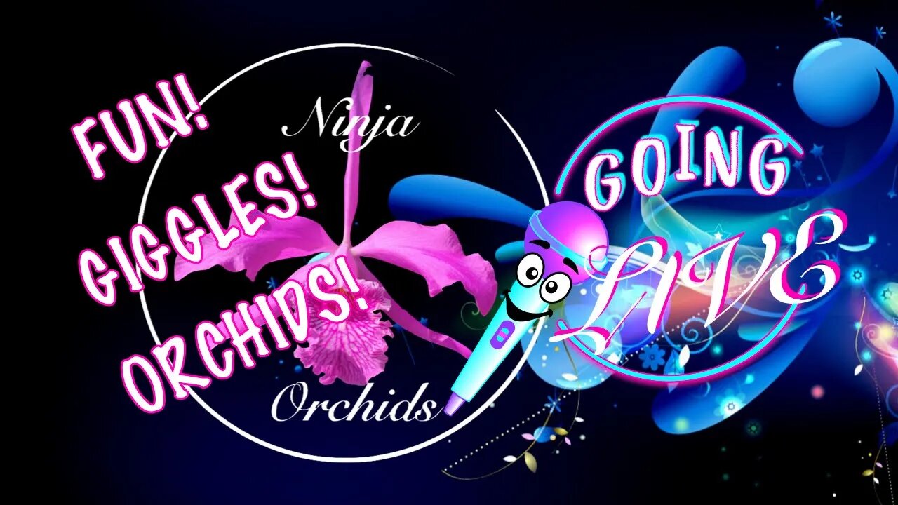 Updating Roasting Reviewing my First Orchid Tag | Let's have some fun! #ninjaorchids