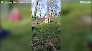 Au jardin, ce garçon réalise les 400 coups avec son père !