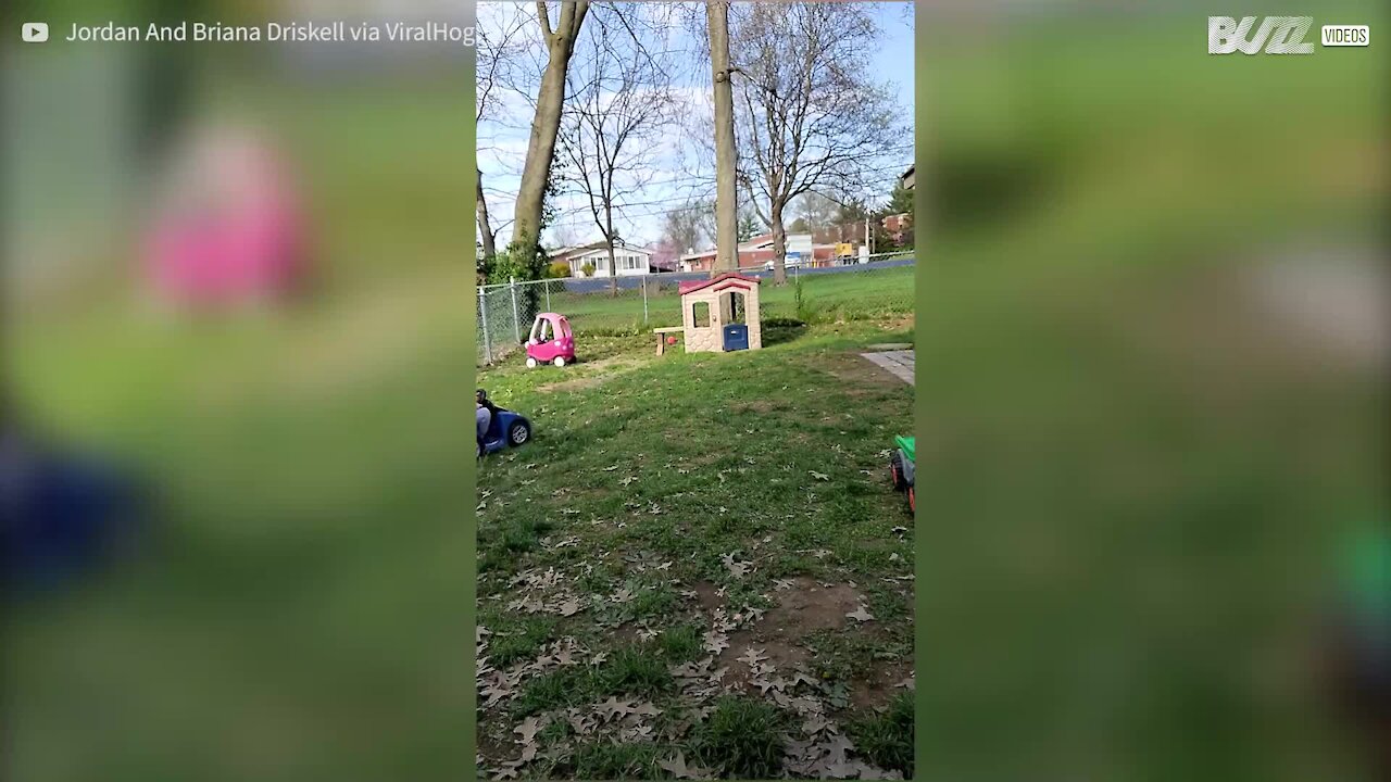 Au jardin, ce garçon réalise les 400 coups avec son père !