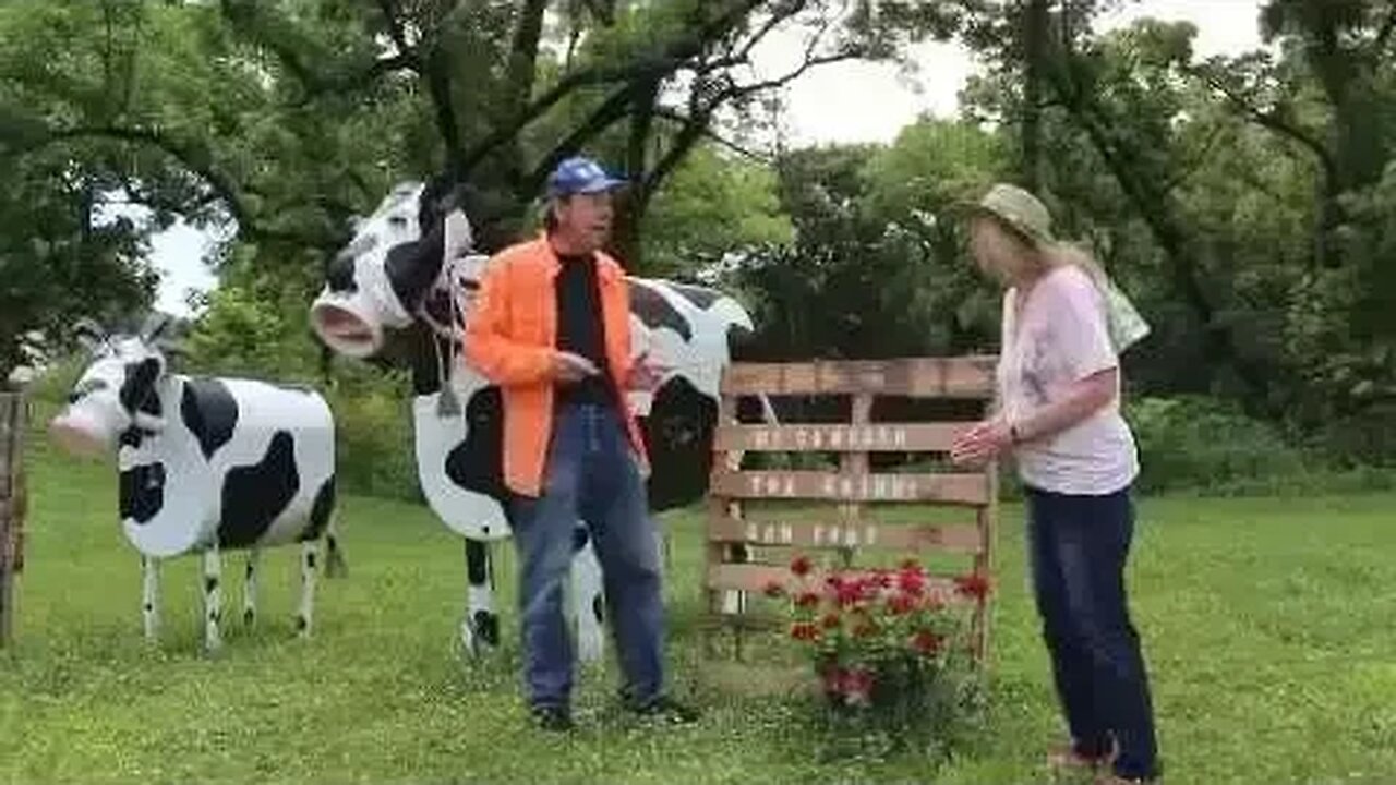 Swinging Bridge, Columbus Junction, Iowa.