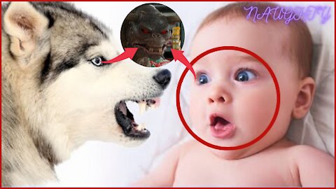 Funniest Baby Moments Ever | Baby Awesome Video [Baby Moment]