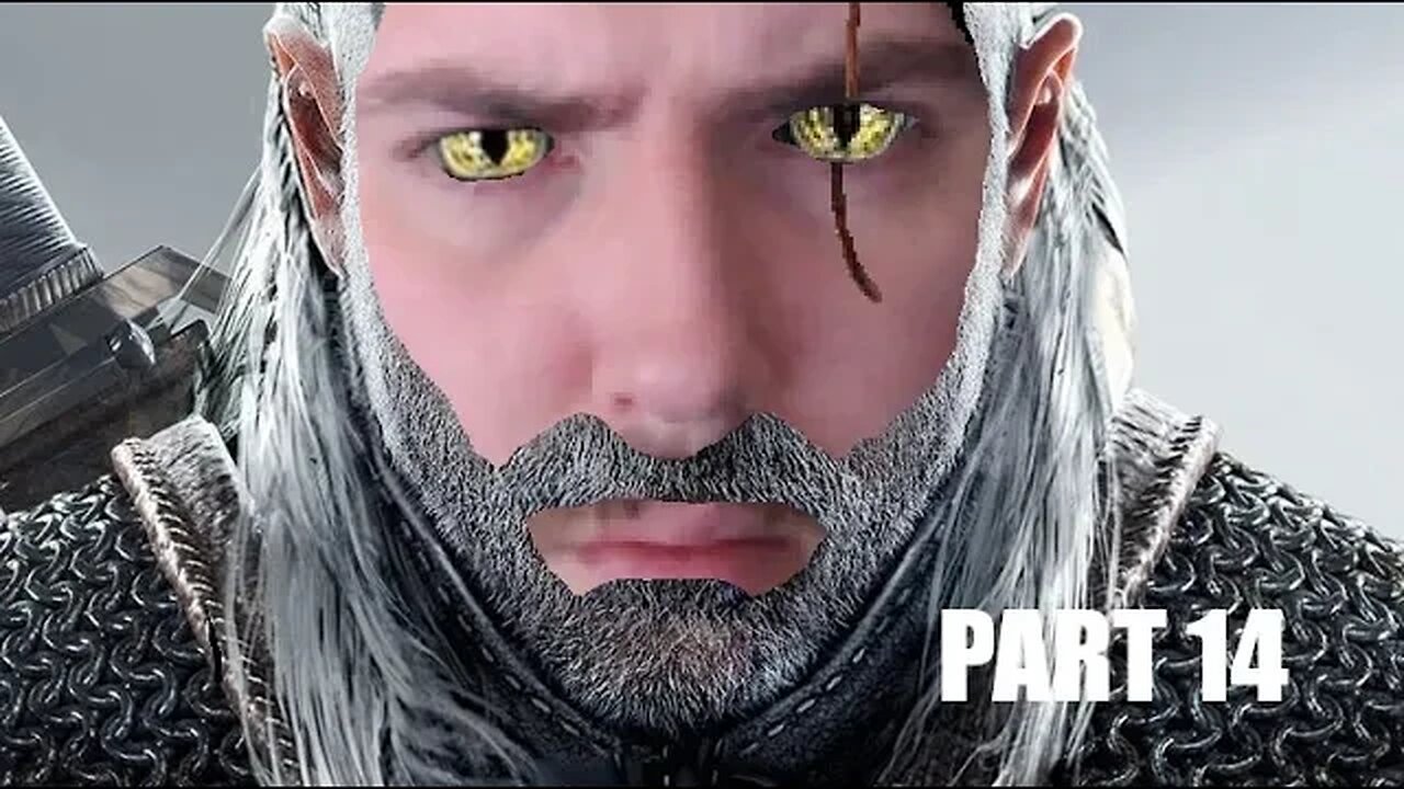 The Witcher 3 Deathmarch Playthrough l Part 14 l with Forfeits