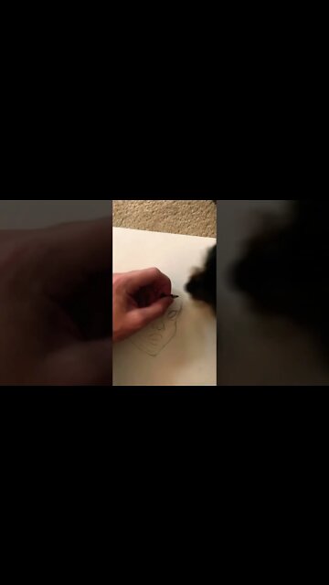 Female Sketch #femaleartist #sketching #atlantis #drawing