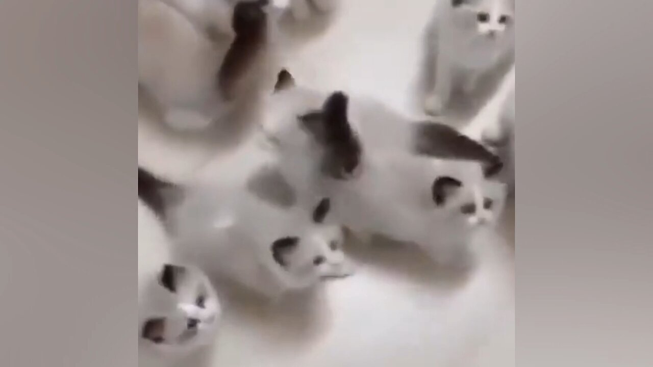 It’s fun time