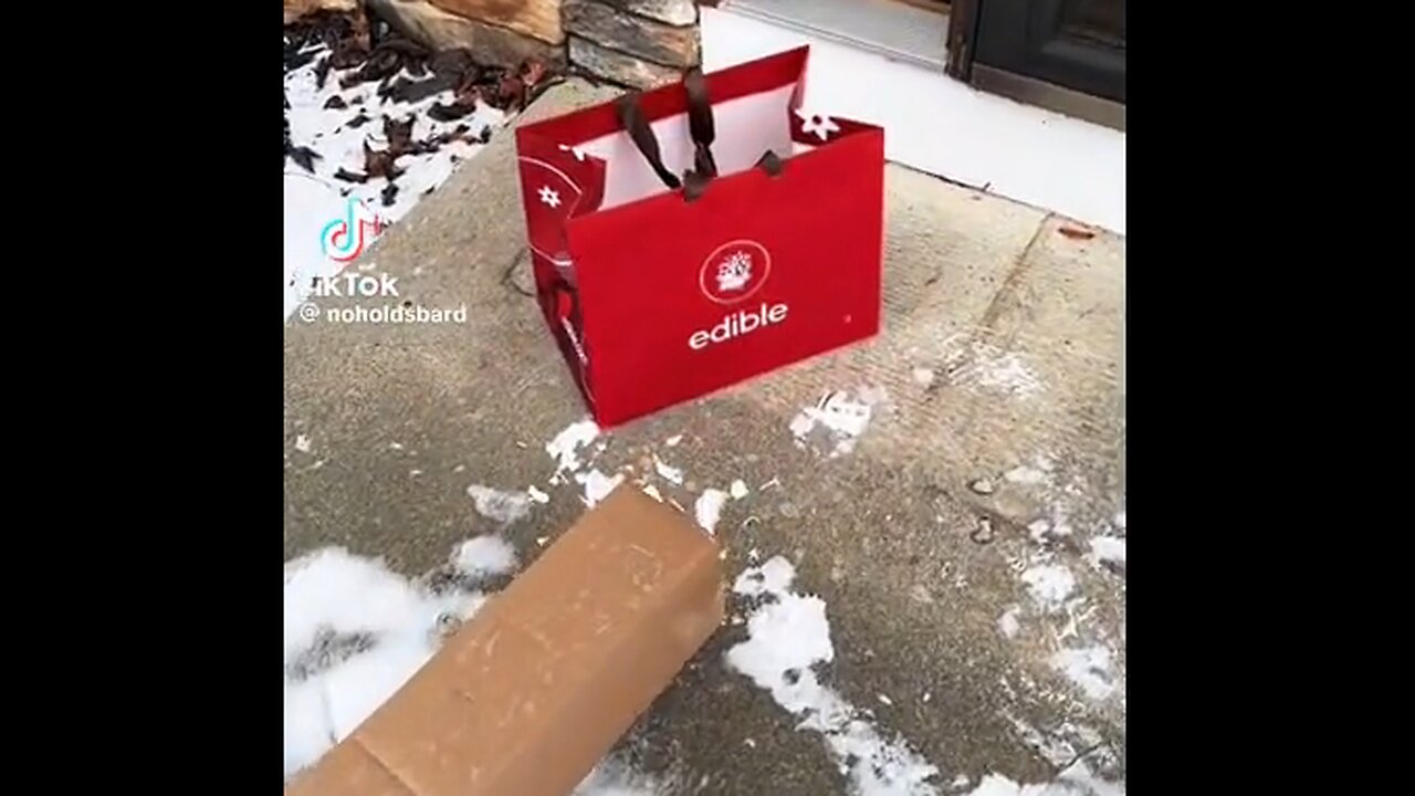 Beware of thieving squirrels
