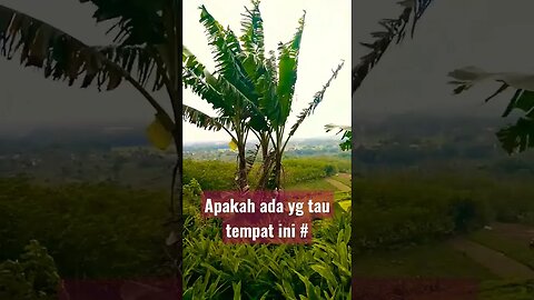 #shoot alam semesta