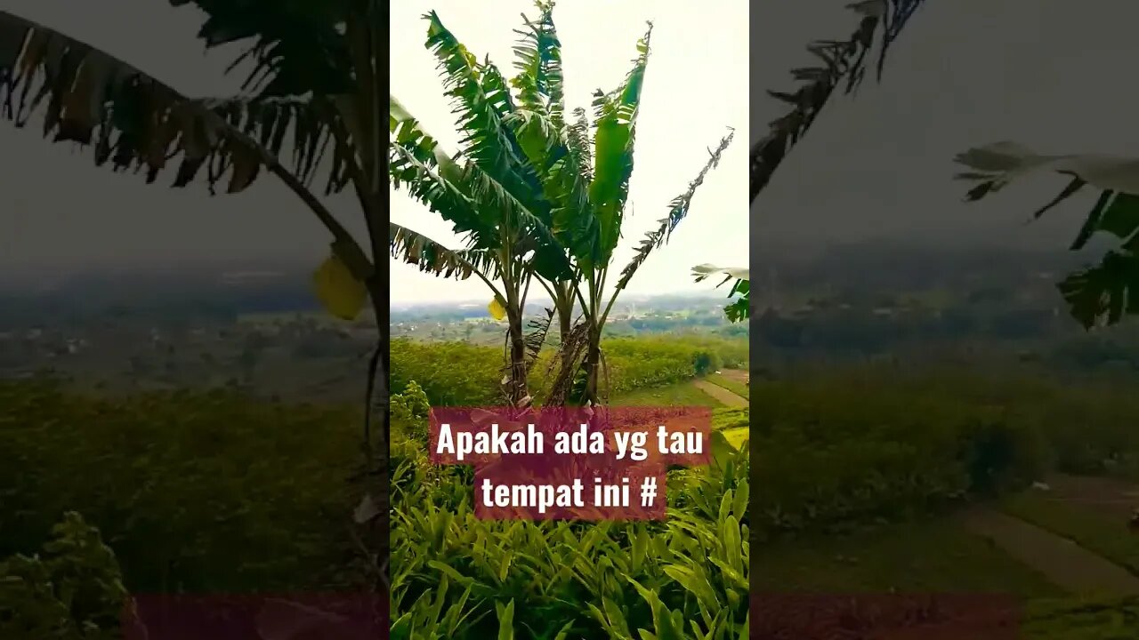 #shoot alam semesta