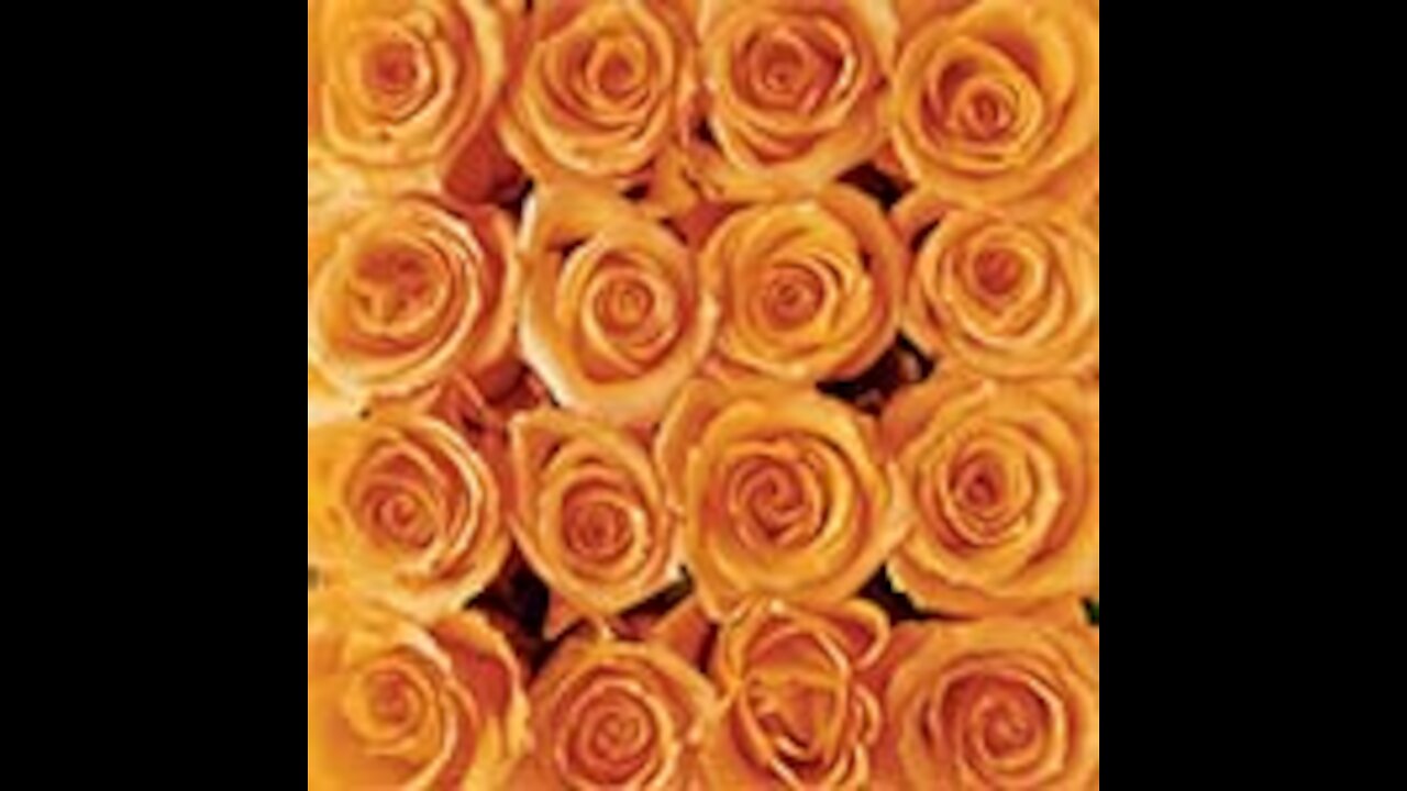 WRITE NOW! TRUMP STORY TRUTHS (003)