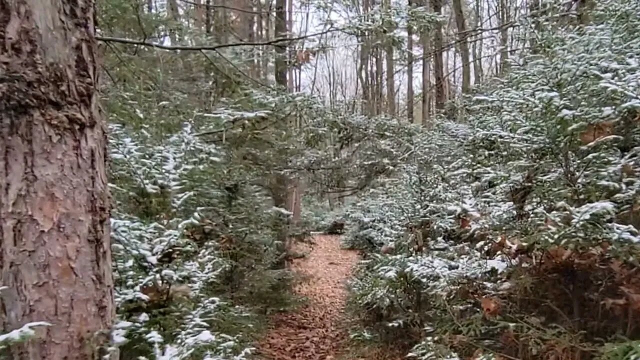 Relaxing Winter Walk - Music for Relaxing Meditation and Stress Relief