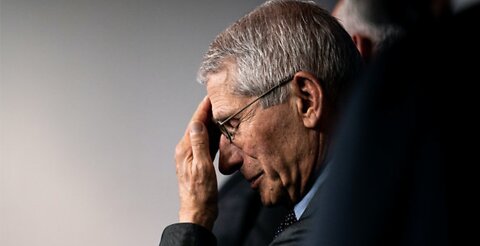 Fauci Quits Just in Time (host K-von explains)