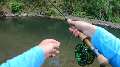 Catching GIANT Brown Trout in a Small Creek! -9