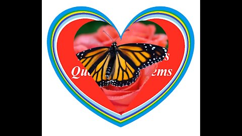 When I see a butterfly land on a rose, I remember your smile! [Quotes and Poems]