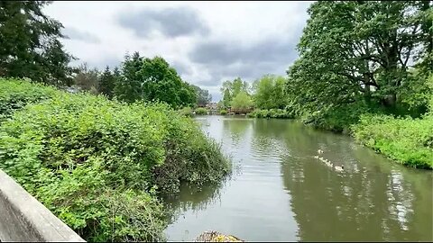 VLOG 562: monday afternoon exploration! (trail ride)