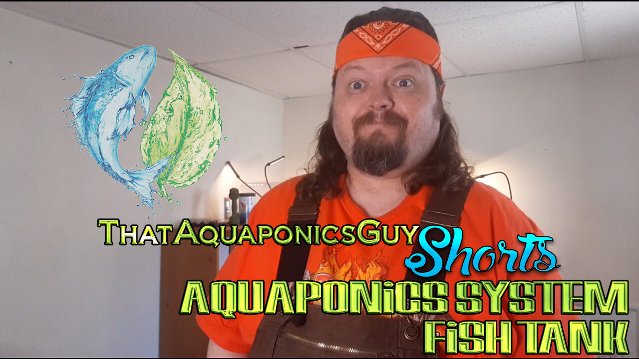 Aquaponics Systems Fish Tank - ThatAquaponicsGuy Shorts