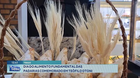 Trigo: Dia do Alimento Fundamental das Padarias Comemorado em Teófilo Otoni.