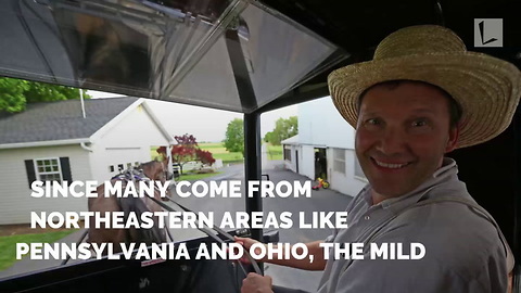 Here’s Why Amish Families Have Flocked to This Florida City Each Winter for Nearly 100 Years