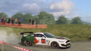 DiRT Rally 2 - Replay - Ford Mustang GT4 at Frauenberg