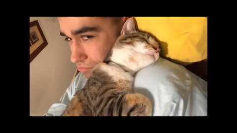 WORLD BEST FUNNIEST🤣 Dog vs men 🤣 funny video> Don't Try Laughing 🤣 clips