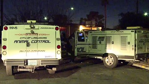 UPDATE: 2 cats removed from home put down
