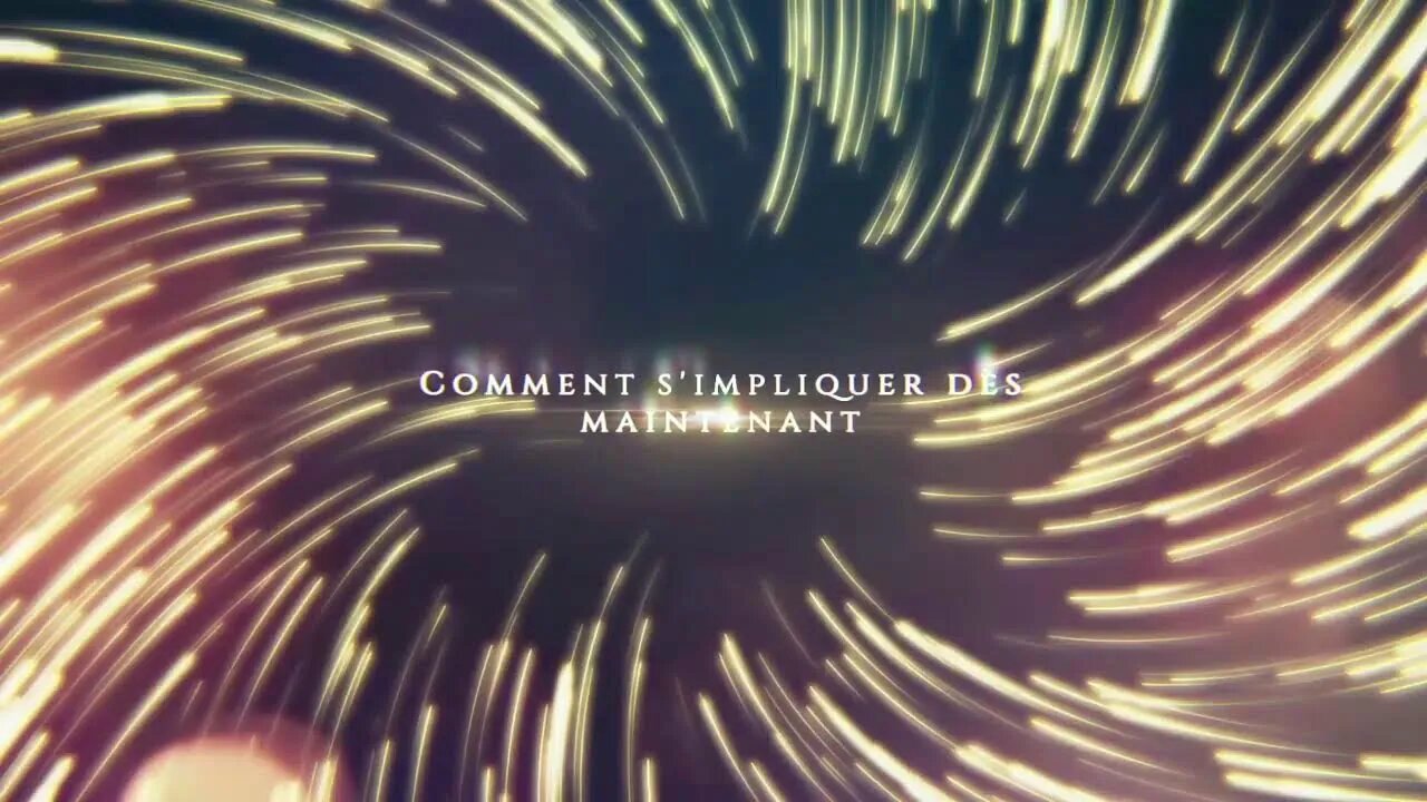 l'impacte de la déprofessionnalisation de l'éthique, Démocratie Directe