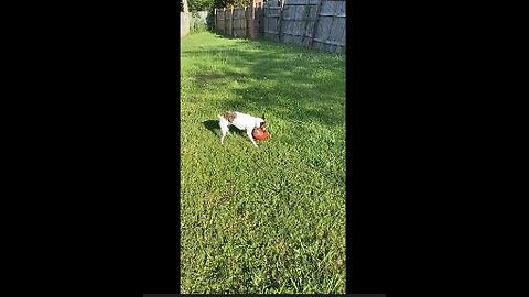 Princess loves football