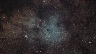 A Starry Family Affair