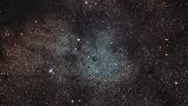 A Starry Family Affair