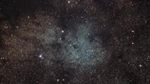 A Starry Family Affair