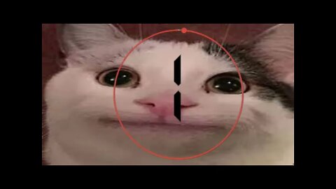 ^WHAT WOULD VALKYRAE DO^ ~IF SHE FOUND THE DEAD BODY~ WILL SHE REPORTED IT OR NOT REDDIT 03