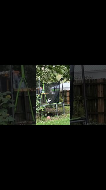 iPhone 14 Plus Camera Test