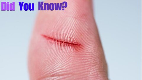 Did You Know? Paper Cuts || FACTS || TRIVIA