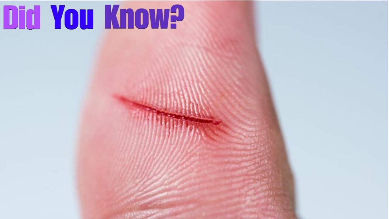 Did You Know? Paper Cuts || FACTS || TRIVIA