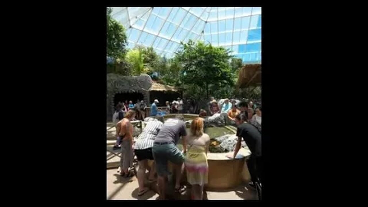 Texas State Aquarium Caribbean