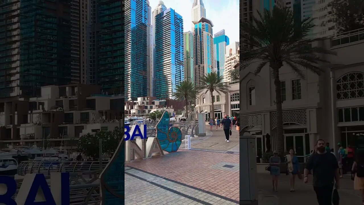 Dubai Marina #shortvideo #youtube #youtubeshorts #dubailife