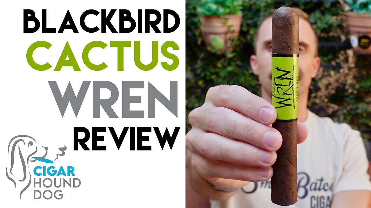 Blackbird Cactus Wren Cigar Review