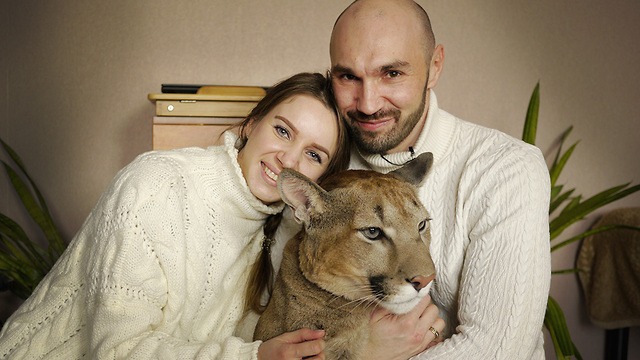 Russian Couple Share Their Studio With An Oversized Cat