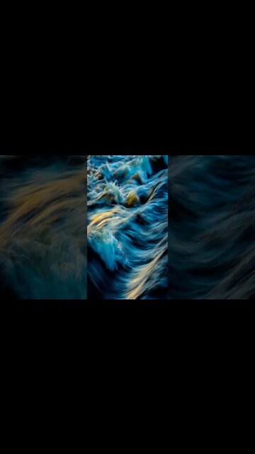 music - No Work William Rosati #shorts #short #shortvideo #shortsvideo