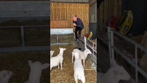 Gordon Ramsay what an ass (yes I am vegetarian).