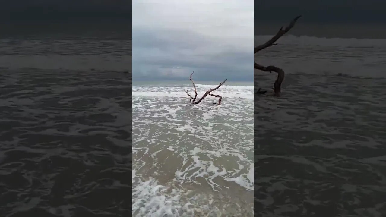 #shorts #wellen #meer #nature #natur #naturstrand