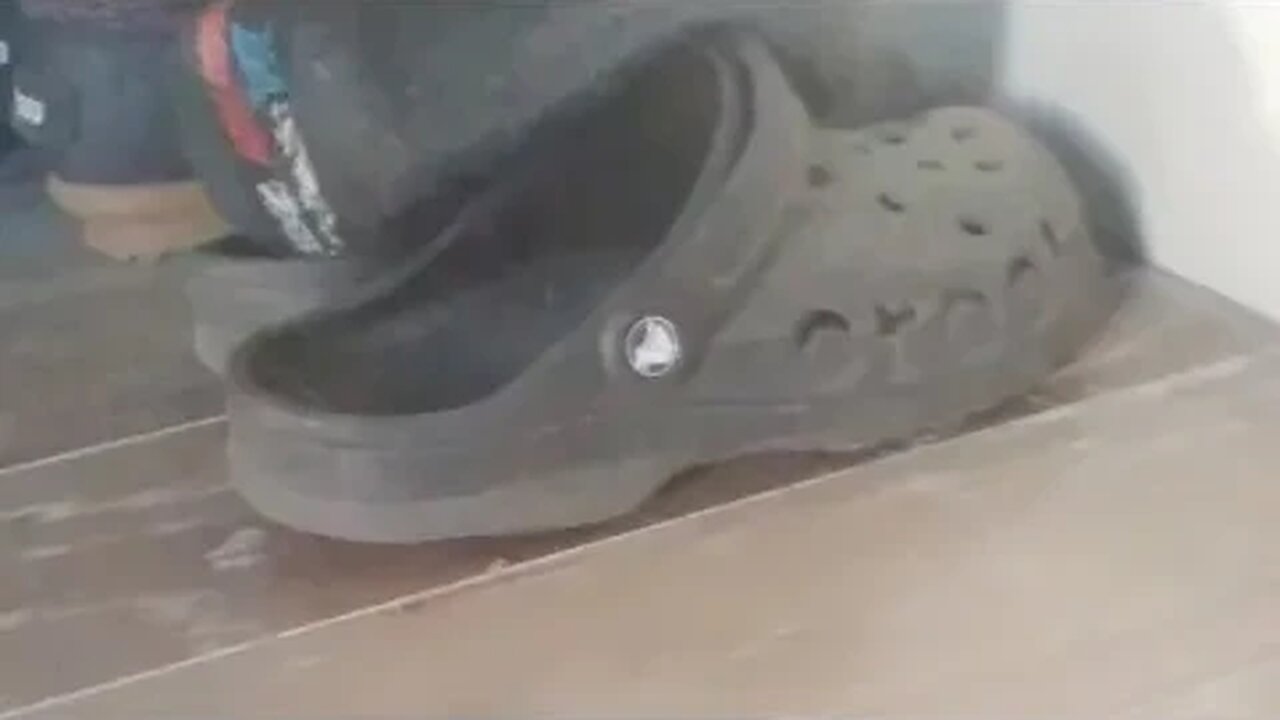 Walk For 5k, 50k, 500k, 5 Million Minimum Suggested Donation