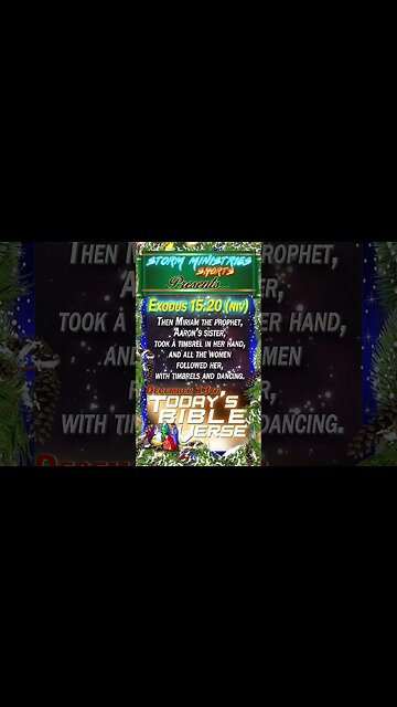 12.13.2022 | STORM MINISTRIES | Daily Bible Verse | EXODUS 15:20 (NIV) | #shorts