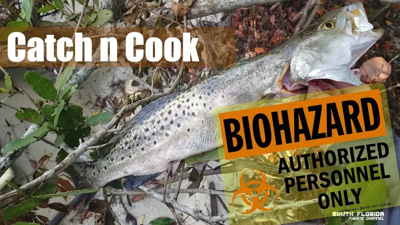 Infected Florida River Fish can Kill me? {Catch and Cook}