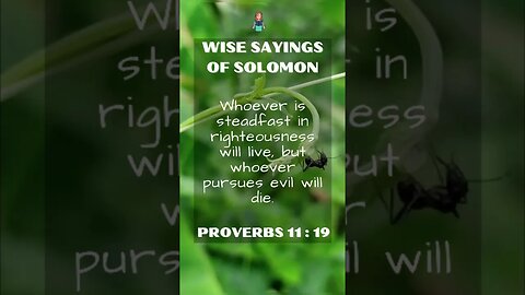 Wise Sayings of Solomon | Proverbs 11:19