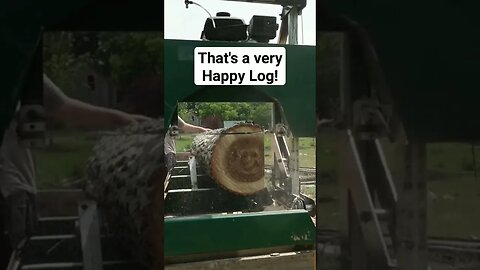 A very happy Log