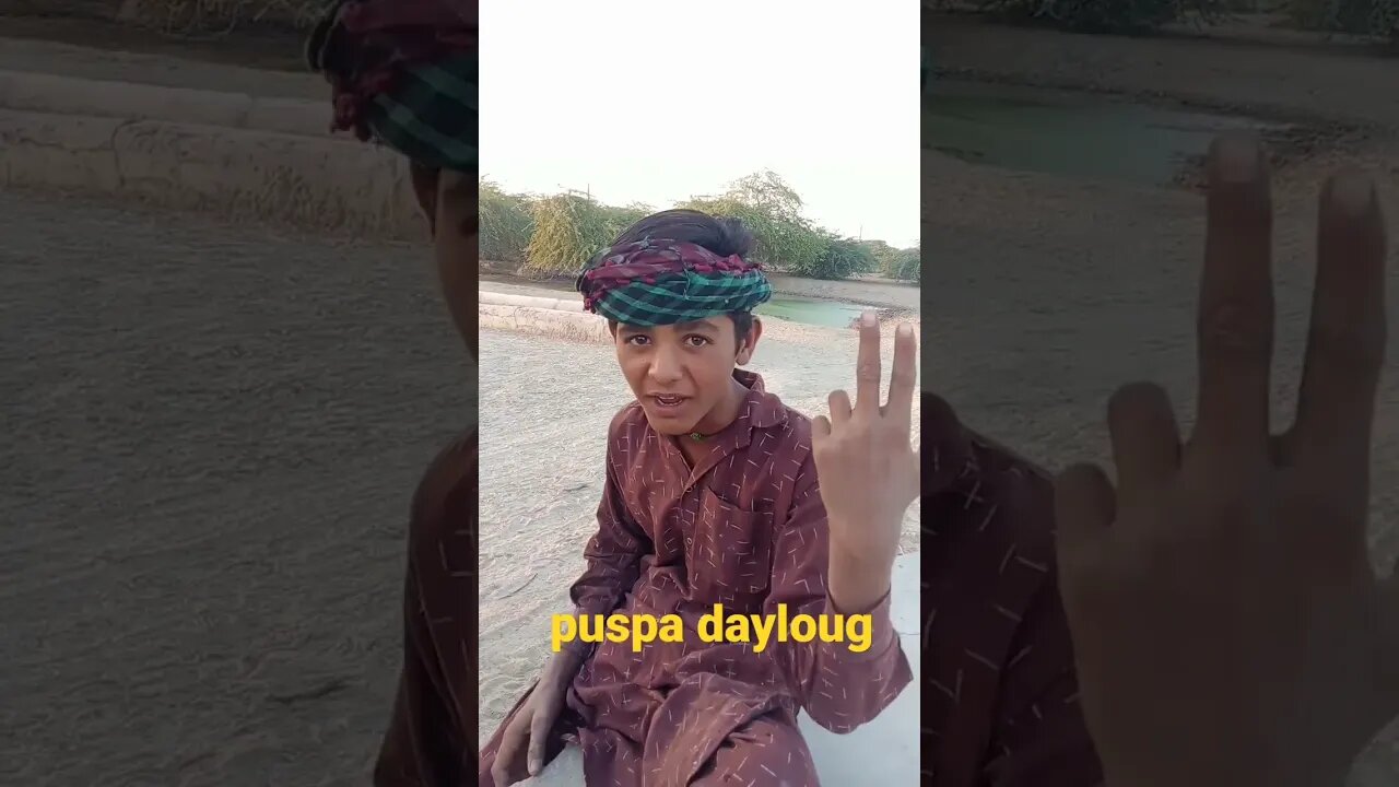 puspa movie dayloug #dungarmarvada #sortvideo #trendingshorts