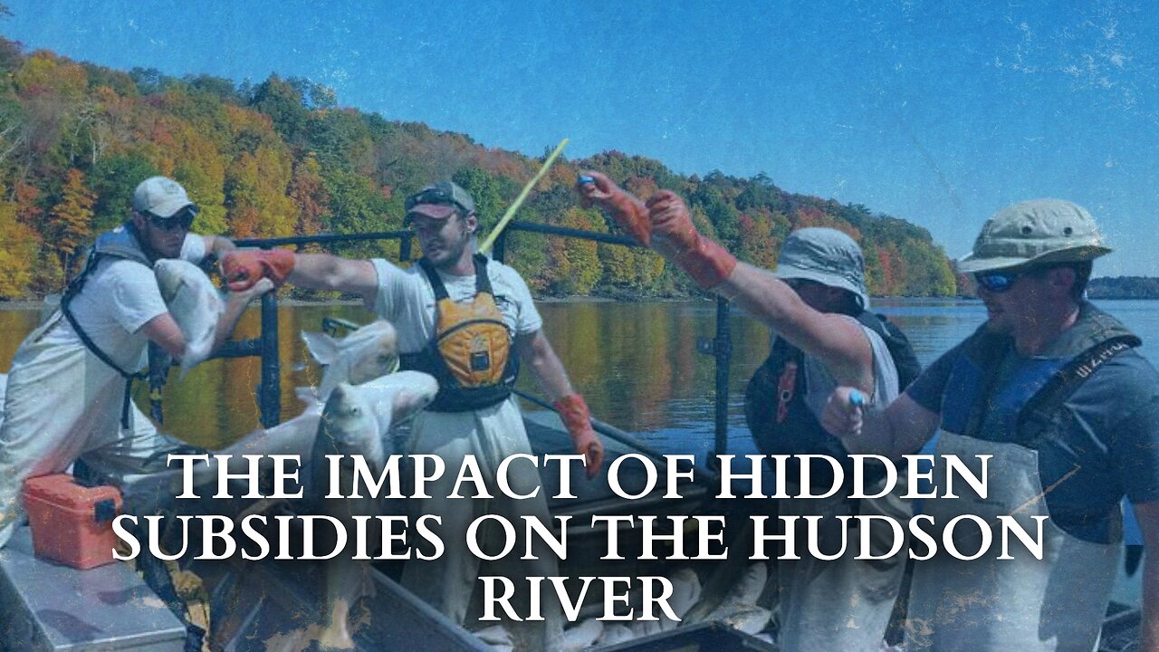 RFK Jr. Helped Save The Hudson River By Fighting Invisible Subsidies