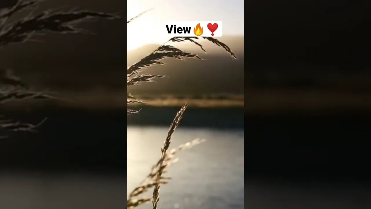 Beautiful View #nature #viral #viralvideo #photography #videography #shorts