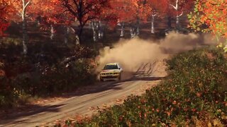 DiRT Rally 2 - Replay - Seat Ibiza Kitcar at Hancock Creek Burst