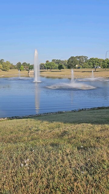 My Peaceful Place - Deceptive Homophones