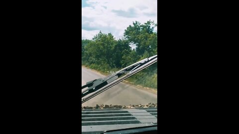 Russian "Grad" MLRS on their way to the front line in Donbass